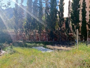 Jardín